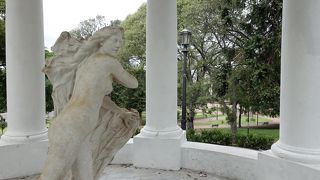 緑多く散策が楽しい公園です