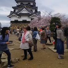 ひこにゃんには会えませんでした。時間が決まっていました。