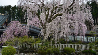 身延山久遠寺の駐車場について