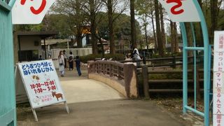 子供動物園