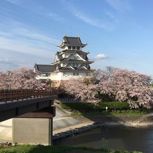 桜にかこまれたお城