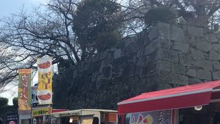 桜が綺麗です。