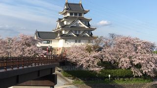 桜とお城がとてもきれい