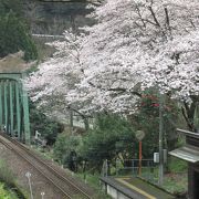 雨に濡れた駅と桜