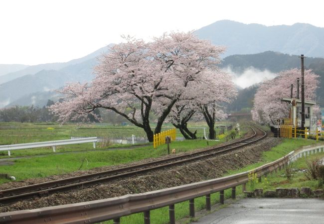 木知原駅 クチコミ アクセス 営業時間 本巣 山県 フォートラベル