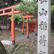 鳥居がビックリです