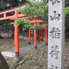 この鳥居が本堂まで続きます