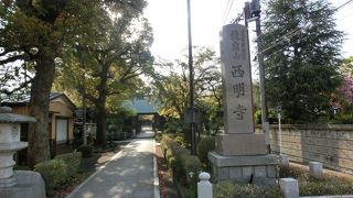 長い参道、境内も手入れが十分