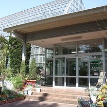 温室には東南アジア周辺の熱帯植物がたくさん育てられていました