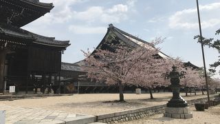 とっても広いです。