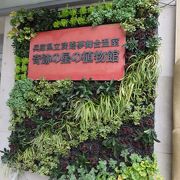 日本最大級の温室