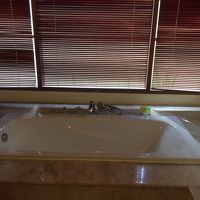 バスタブ有、別にシャワールーム有