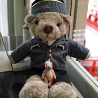 こんなかわいい熊が出迎えてくれます