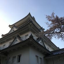 お城と桜