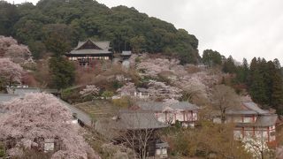 存在感があります