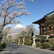 桜と富士山とのコラボ 2017年4月