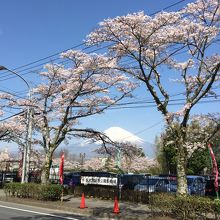 無料開放の秩父宮記念公園駐車場