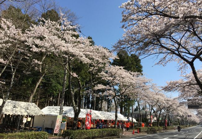 御殿場の祭り イベント クチコミ人気ランキングtop3 フォートラベル 静岡県