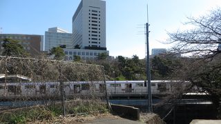 桜の時期には駅のホームからもお花見ができます