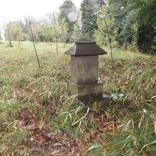 三叉路脇の石祠。横には山桜が植えられている