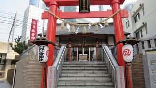 車の往来を見守っているみたい