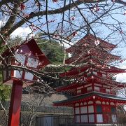 桜の季節にはちょっと早かった