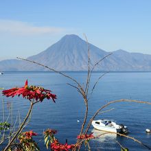 美しい火山の姿も見えます