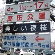 2017年４月16日現在、桜は散る傾向にあります