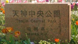 後々に知りました。