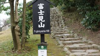 富士山は見えません！！