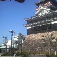 城の裏手の広場から眺めるとこんな感じです