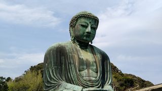 桜が綺麗でした