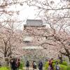 舞鶴公園 (福岡城跡)