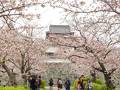 舞鶴公園 (福岡城跡)