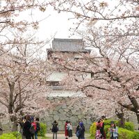 舞鶴公園 (福岡城跡)