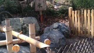 千歳神社のご神水