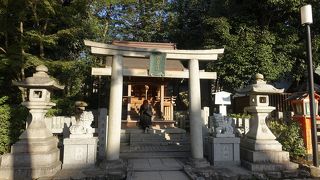 悪い王子ではなかった