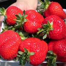 真っ赤なルビー&#9825;