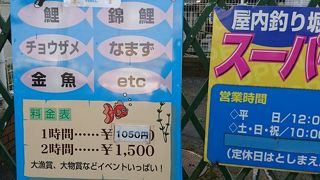 遊園地  プール  釣り