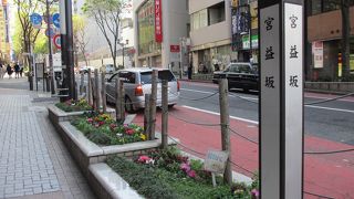 にぎやかな通りです