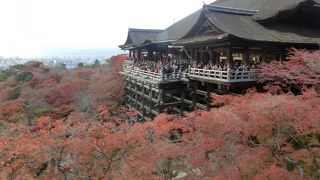 中学校の修学旅行以来