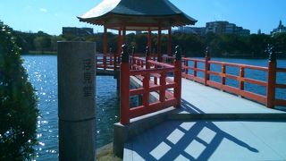 ラドンが飛んでいった公園です！