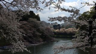 千鳥ヶ淵は桜名所です！本当にキレイ！！
