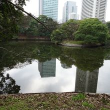 新銭座鴨場の池
