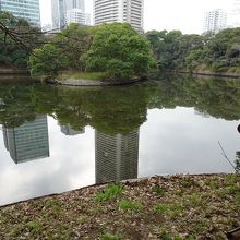 新銭座鴨場の池