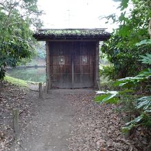 小覗：小さな穴から鴨の様子をうかがう