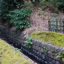 引堀：おとりのアヒルをよびよせる