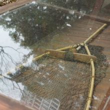 網で飛び立った鴨をすくい取る