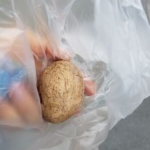 金盆阿婆の香菇茶葉蛋