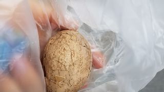 金盆阿婆の香菇茶葉蛋